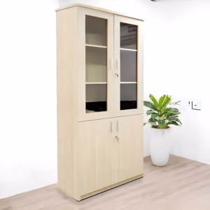 tủ tài liệu văn phòng 2 cánh