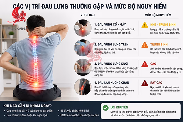 Đau Lưng Khi Ngồi Làm Việc: Nguyên Nhân & Cách Chữ
